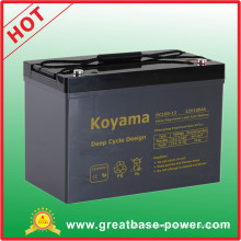 Top Quality 100ah 12V AGM Deep Cycle Marine Battery Motor Home Battery